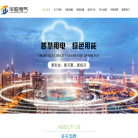 南京华胜电气有限公司-南京华胜电气有限公司
