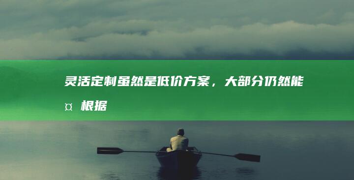 灵活定制：虽然是低价方案，大部分仍然能够根据您的特定需求进行定制，不会太过于局限。