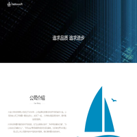 大连大舟科技有限公司