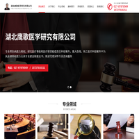 湖北鹰歌医学研究有限公司