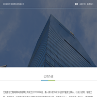 沈阳盛世汇智网络科技有限公司