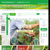 星野-丘香二号-种子种苗销售-云滇种业网-中国种业网-云南真银种业有限公司