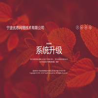 宁波优思网络技术有限公司