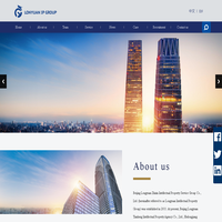 Longyuan Intellectual Property Group official website _ intellectual property agency _ patent _ trademark - copyright _ legal rights _ basic agency _ Enterprise intellectual property standards _ economists (intellectual property professional) training _ c