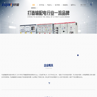 轩金智慧能源科技股份有限公司