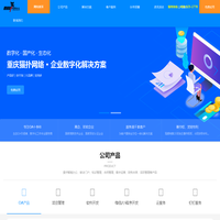 重庆OA系统,重庆OA软件,重庆项目管理-重庆猫扑网络科技有限公司-官网