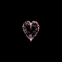 💗
