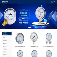 不锈钢耐震隔膜膜盒电接点压力表-皖天图尔克