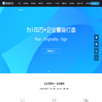 seo计费管理系统-网站程序二次开发-系统定制开发 - 树枝科技